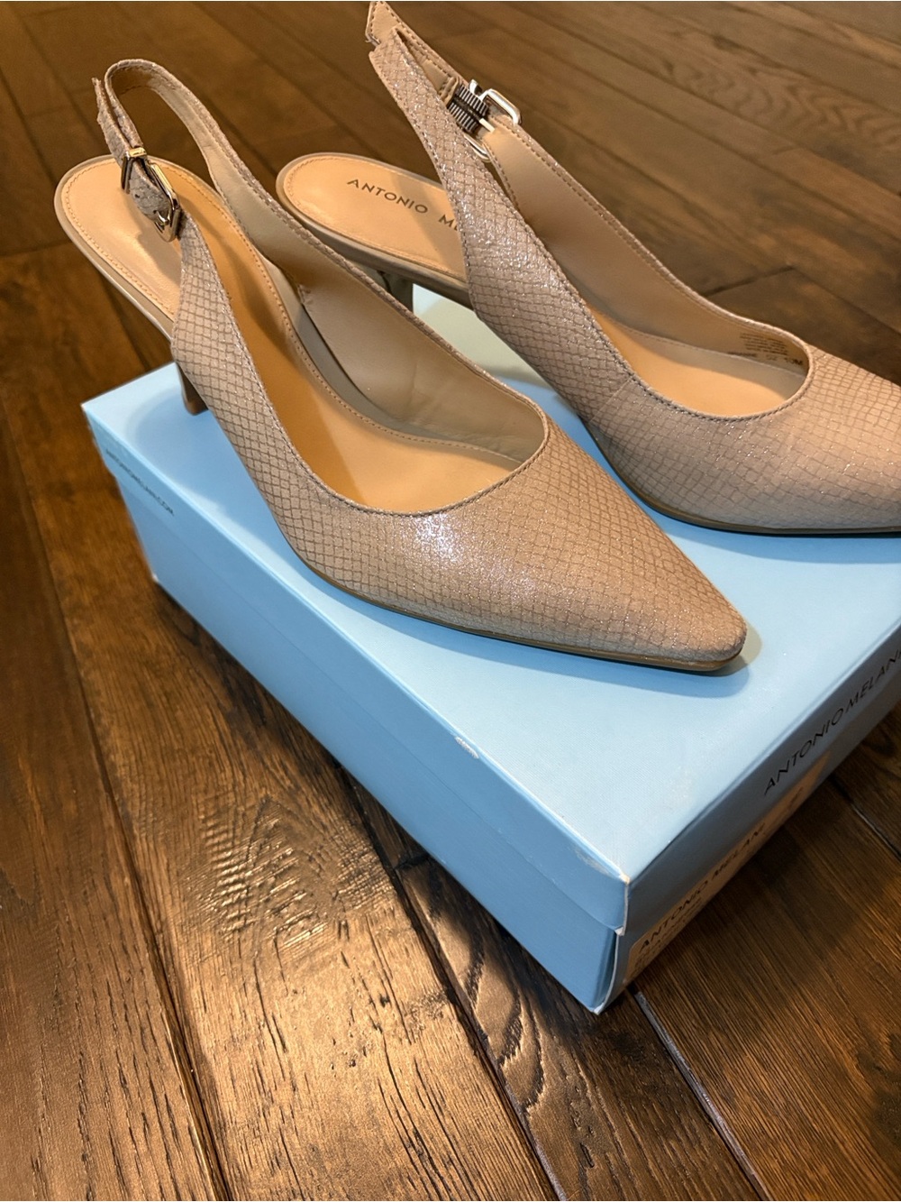 ANTONIO MELANI Beige Pointed-Toe Textured Flats